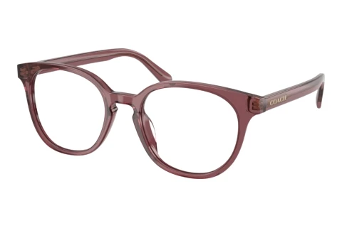 Brille Coach HC6301U 5969