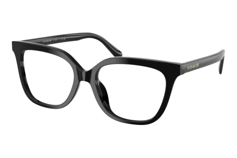 Brille Coach HC6302U 5002