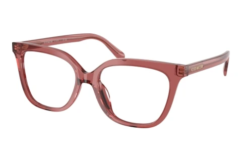 Brille Coach HC6302U 5961