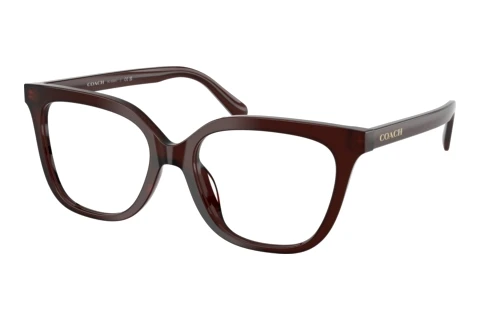 Brille Coach HC6302U 5968