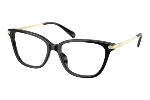 Brille Coach HC6303U 5002