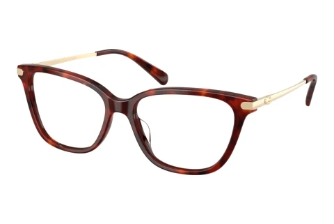 Brille Coach HC6303U 5938