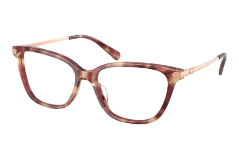 Brille Coach HC6303U 5960