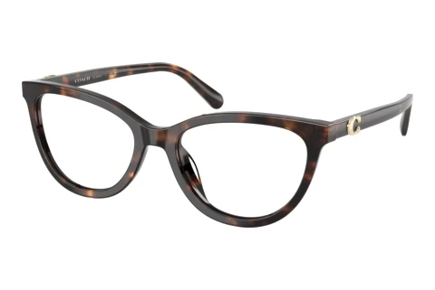 Brille Coach HC6304U 5120