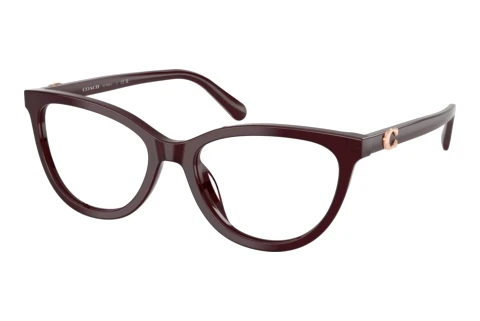 Brille Coach HC6304U 5970