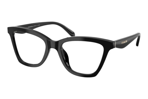Brille Coach HC6306U 5002