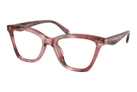 Brille Coach HC6306U 5964