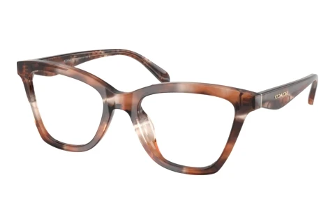 Brille Coach HC6306U 5965