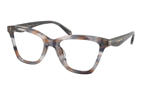 Brille Coach HC6306U 5966