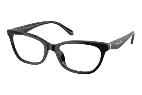 Brille Coach HC6307U 5002