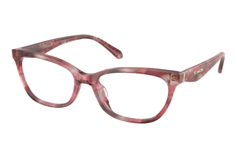 Brille Coach HC6307U 5964