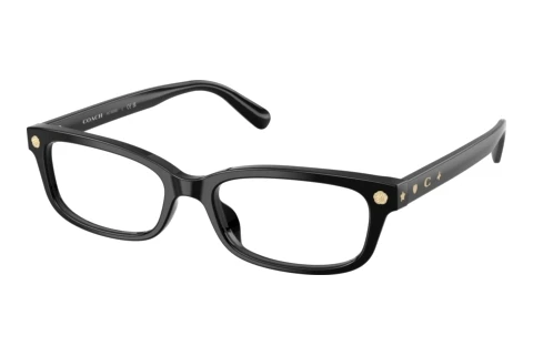 Brille Coach HC6308U 5002