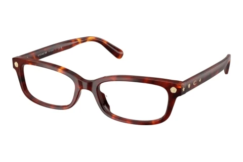 Brille Coach HC6308U 5938