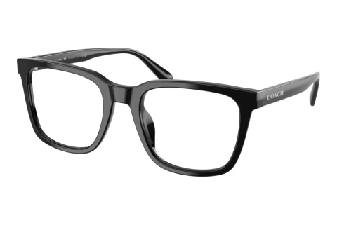 Brille Coach HC6309U 5002