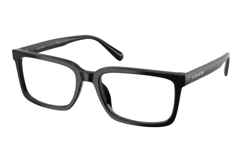 Brille Coach HC6310U 5002