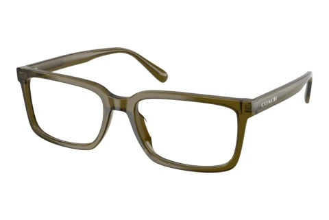 Brille Coach HC6310U 5910