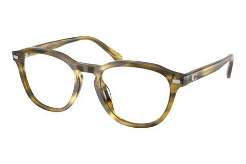 Brille Coach HC6311U 5945