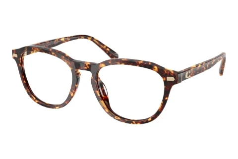 Brille Coach HC6311U 5974