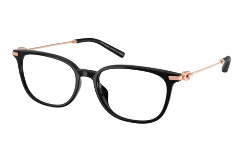 Brille Coach HC6312D 5002