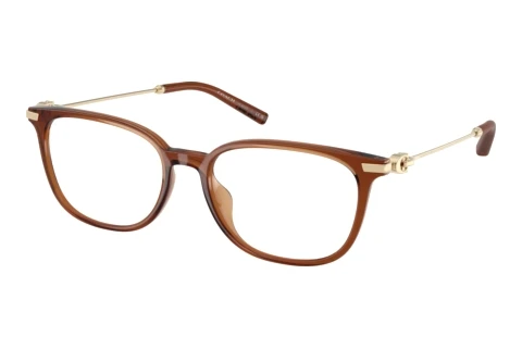 Brille Coach HC6312D 5888