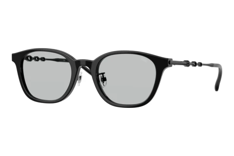 Brille Diesel DL4013D 2064