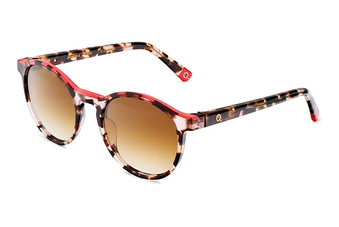 Brille Etnia Barcelona AVINYO 3 SUN HVRD