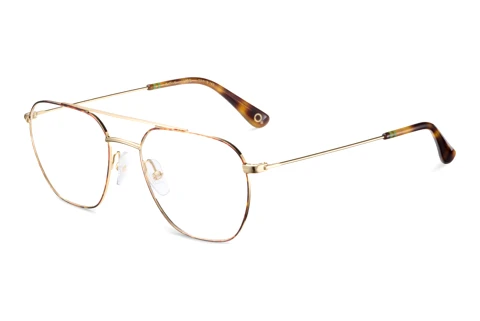 Brille Etnia Barcelona XATIVA HVGD