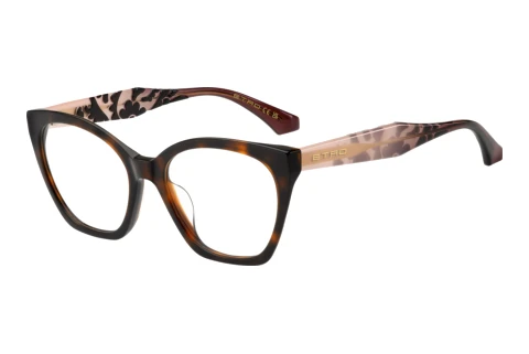 Brille Etro ETRO 0149/G 9QB