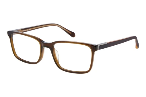 Brille Fossil FOS 7229 FL4