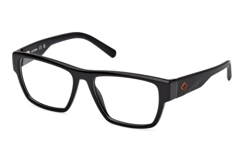 Brille Harley-Davidson HD50110 001