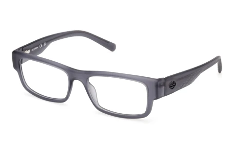 Brille Harley-Davidson HD50111 020