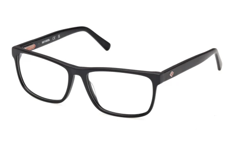 Brille Harley-Davidson HD50122 002