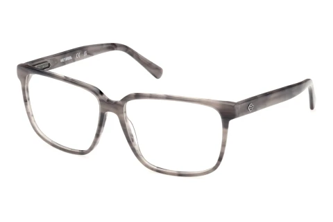 Brille Harley-Davidson HD50123 020