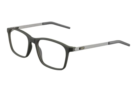 Brille Julbo ALPHA 16_JOP1490