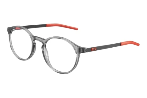 Brille Julbo OMEGA 20_JOP1491