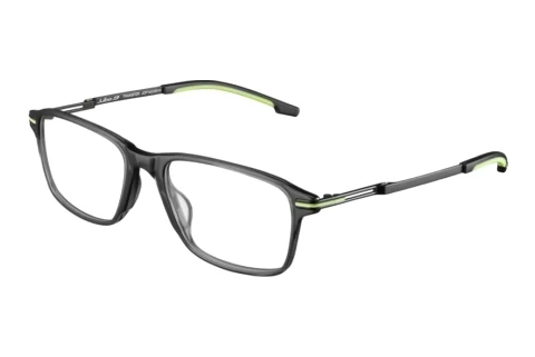 Brille Julbo TRANSFER 14_JOP1453