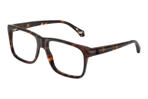 Brille Moncler PRECISA (ME2036 3002)