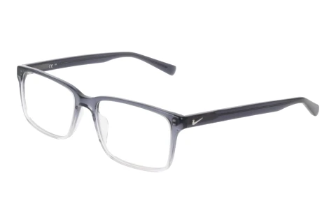 Brille Nike NIKE 1001 029