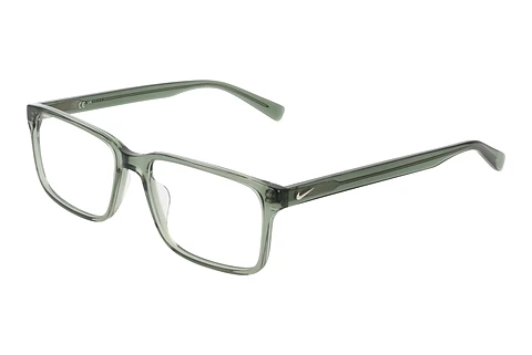 Brille Nike NIKE 1001 311