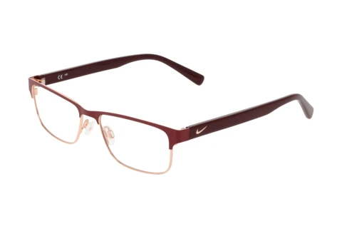 Brille Nike NIKE 1002C 601