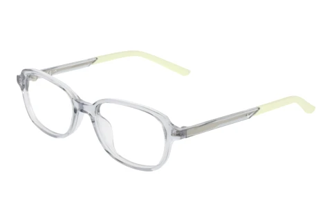 Brille Nike NIKE 5072 030