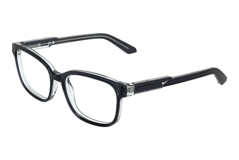 Brille Nike NIKE 5073 020