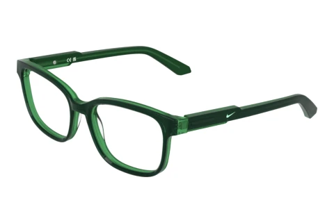 Brille Nike NIKE 5073 323