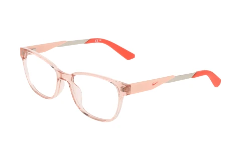 Brille Nike NIKE 5100 N 681