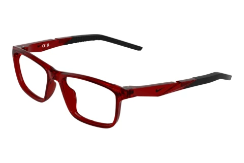 Brille Nike NIKE 5104 607