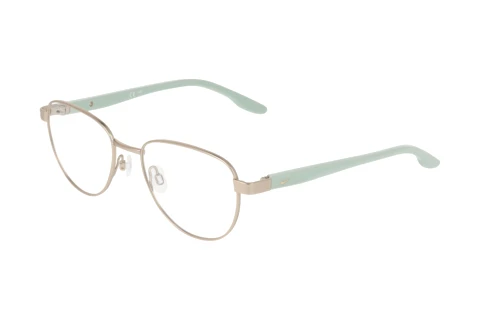 Brille Nike NIKE 5401 N 717