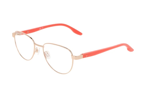 Brille Nike NIKE 5401 N 780