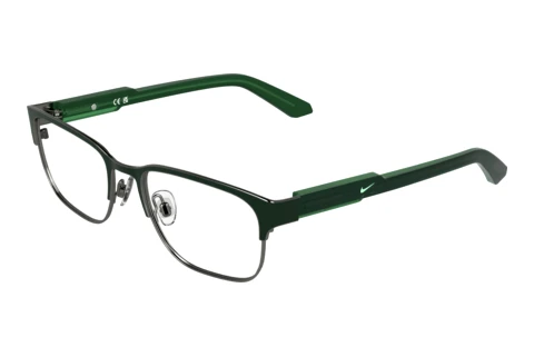 Brille Nike NIKE 5402 309