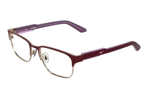 Brille Nike NIKE 5402 605