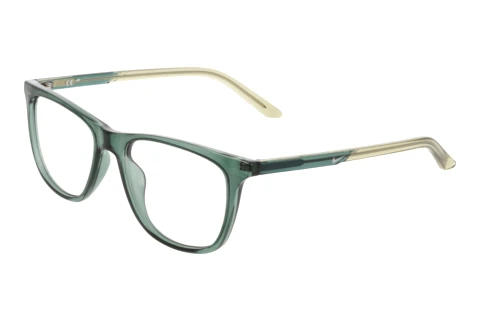 Brille Nike NIKE 7132 301